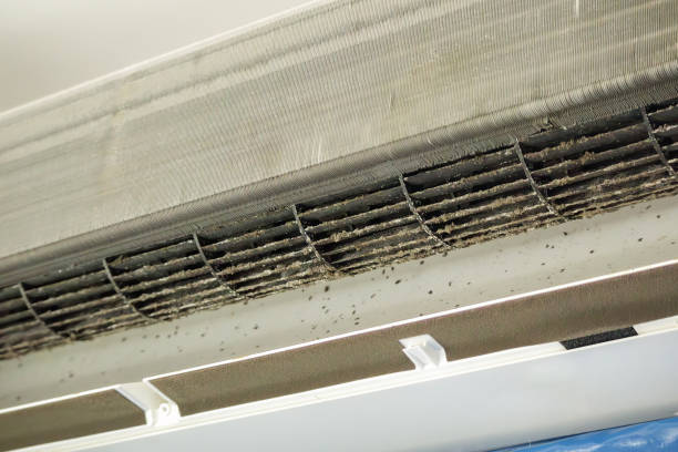 Best Best Air Duct Cleaning Company  in Burnettown, SC